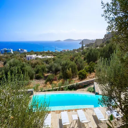 Roots In Crete *