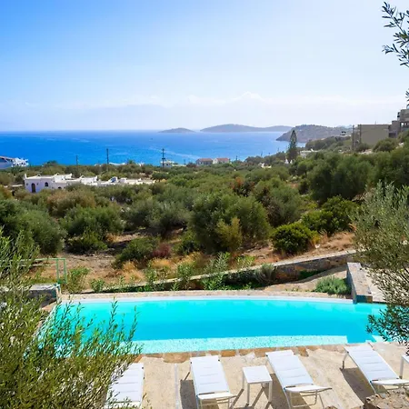Roots In Crete Apartment