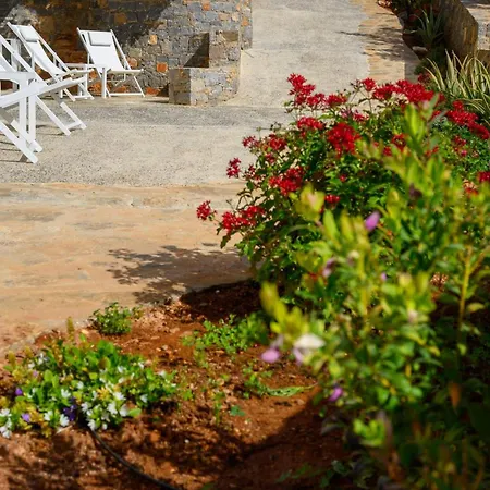 Roots In Crete Apartment